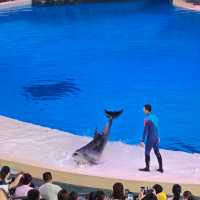 Aquarium in Zhuhai China