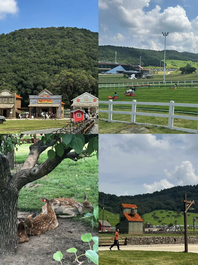 沙田阿勒泰｜雲端草原一日遊。