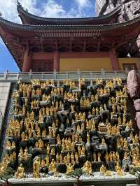 金山東蓮寺。
