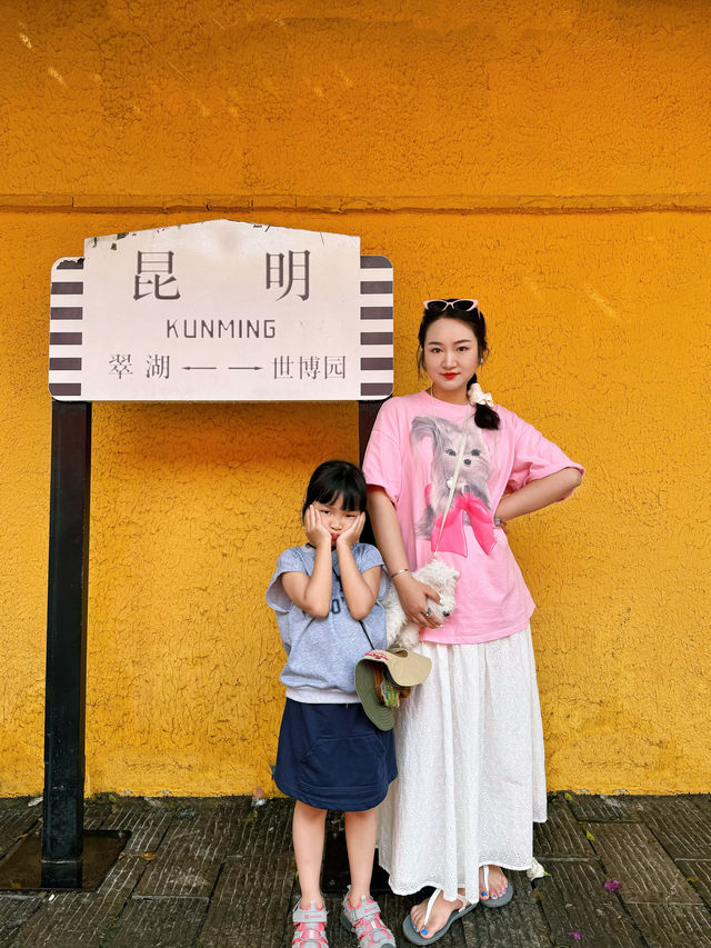 關於成都到昆明四日Citywalk深度親子遊攻略。
