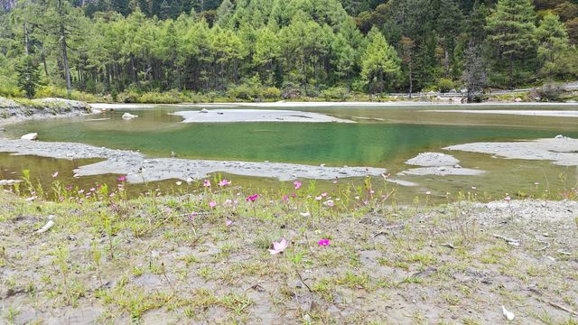 "小瑞士川西"毕棚沟，夏日清涼難得。