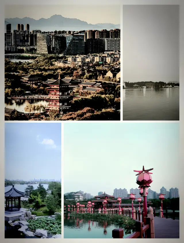 "穿越時空之門，我在大唐芙蓉園踏上成仙之路！"。