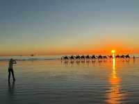 Camel and Sunset 🌅 🐫 What’s more healing than that 🇦🇺