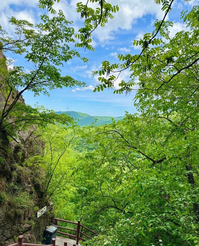 沒錯，就是喜歡鴛鴦峰，富養森林，一定要多做深呼吸！！。