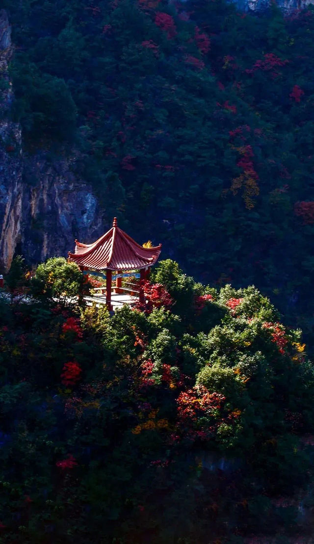 萬源！申請做你的旅行第一志願。