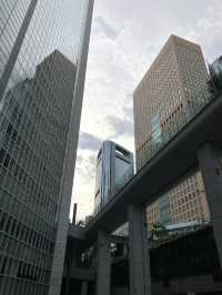 A secret Tokyo skyline view 