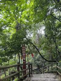 綿陽九皇山美景。