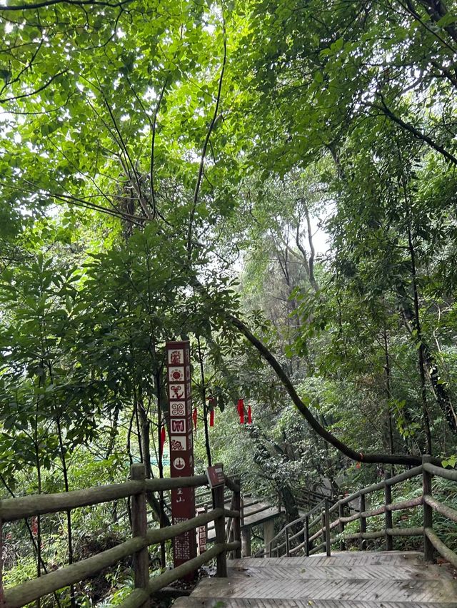 綿陽九皇山美景。