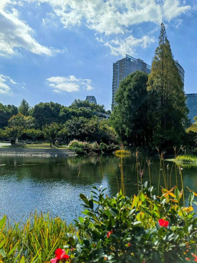 黃浦區最美的公共綠地。