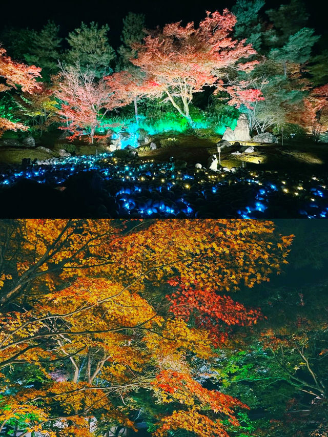京都賞楓圖鑑：寶嚴院。