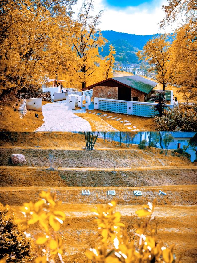 湖北隨州秘境曝光！山月韓風，古韻木屋。