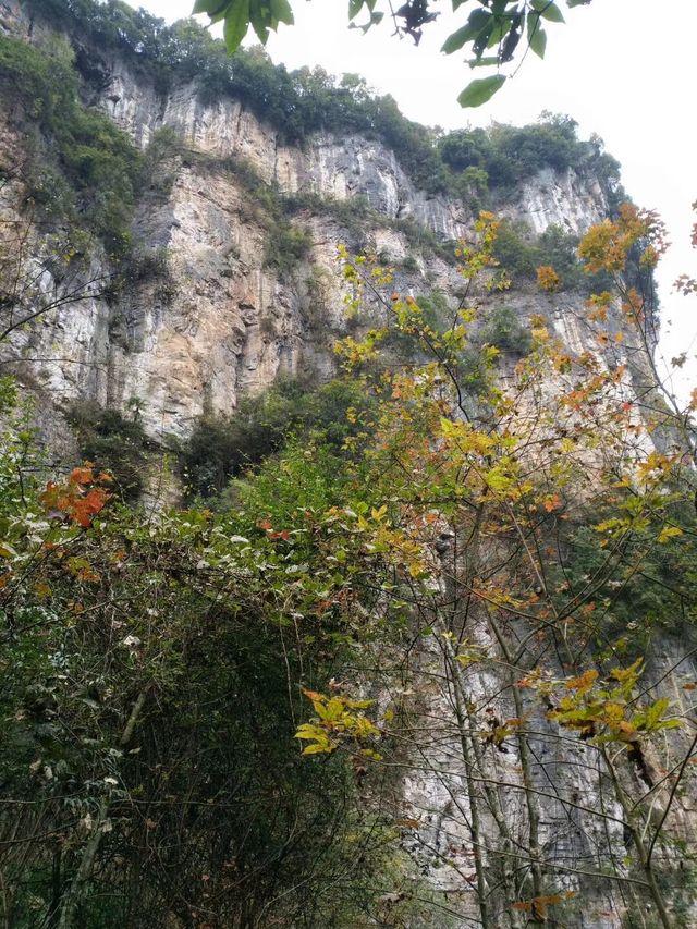 《武隆天坑地縫 | 霧都的神秘地心探險》。