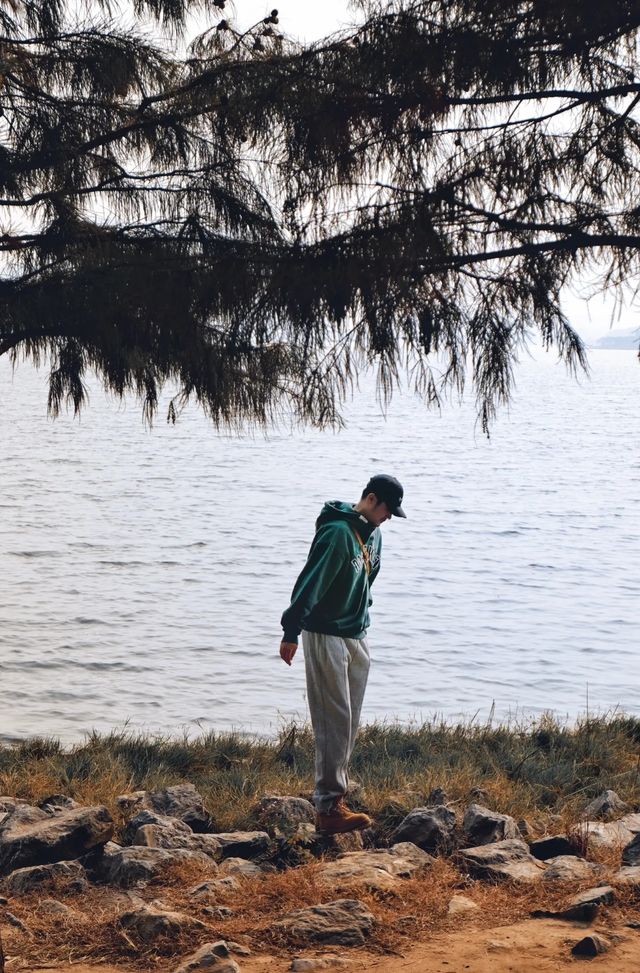 鄭州北龍湖的水杉秋冬限定色。