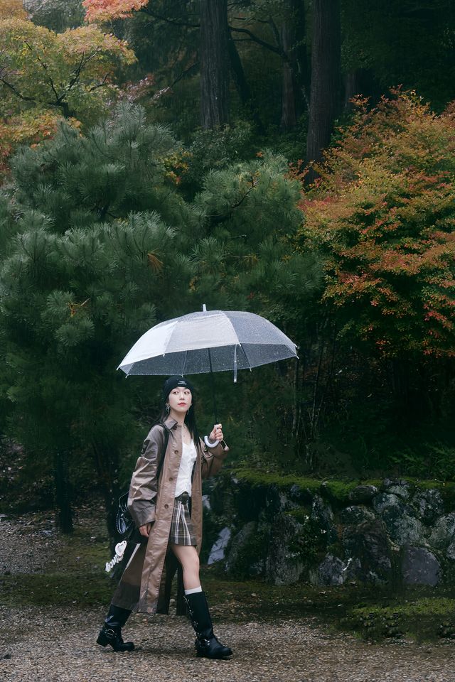紅葉還未全盛，雨天也等不及飛到京都。