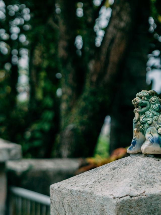 秋遊日本太絕了後悔沒早點去。