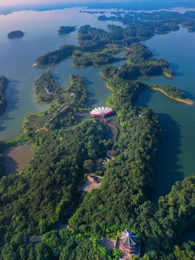 3-Day Xinyang Tour: The Ultimate Guide to Exploring the City