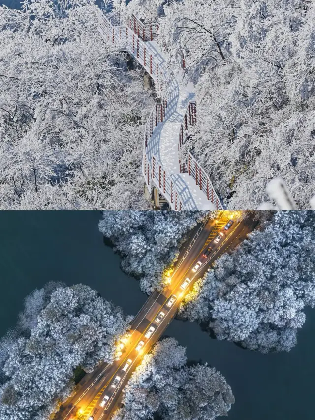 和父母住了五天，不想退房