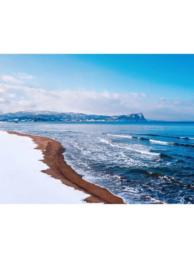5-Day Japan Tour for Seniors