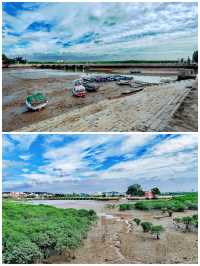 粵閩跟團遊丨泉州洛陽橋