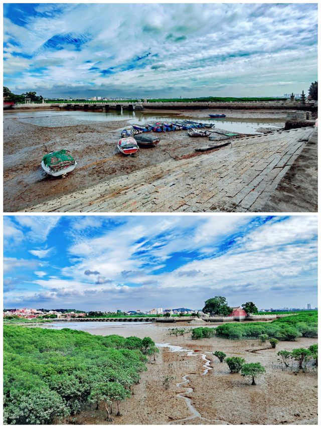 粵閩跟團遊丨泉州洛陽橋