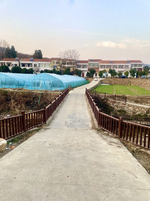 中華山鳥類省級自然保護區