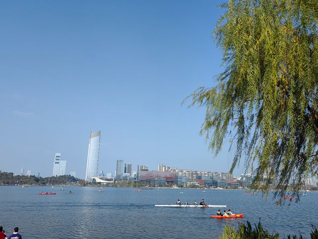 興隆湖，一個屬於成都人民自己的「海」的好地方