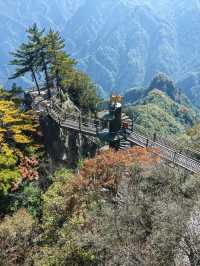雲端上的雞峰山