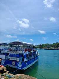 Sri Lanka Whale Watching Adventure