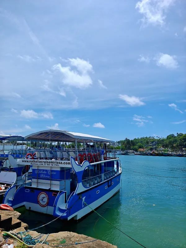 Sri Lanka Whale Watching Adventure