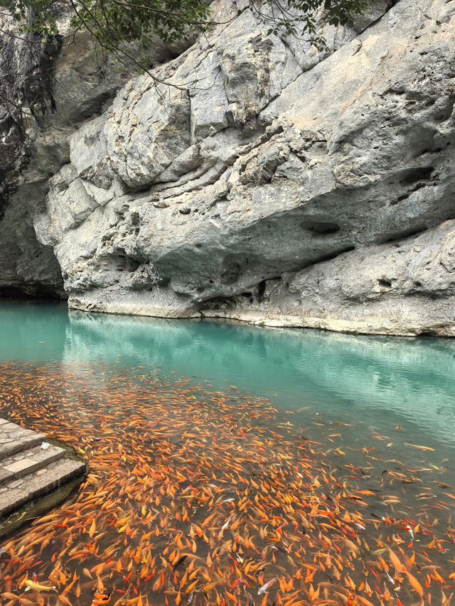 陶公洞