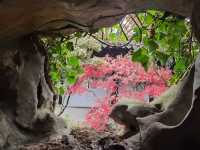 嚴家花園！（666）