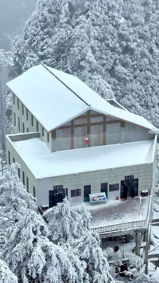 賞雪光霧山，邂逅夢幻冬景