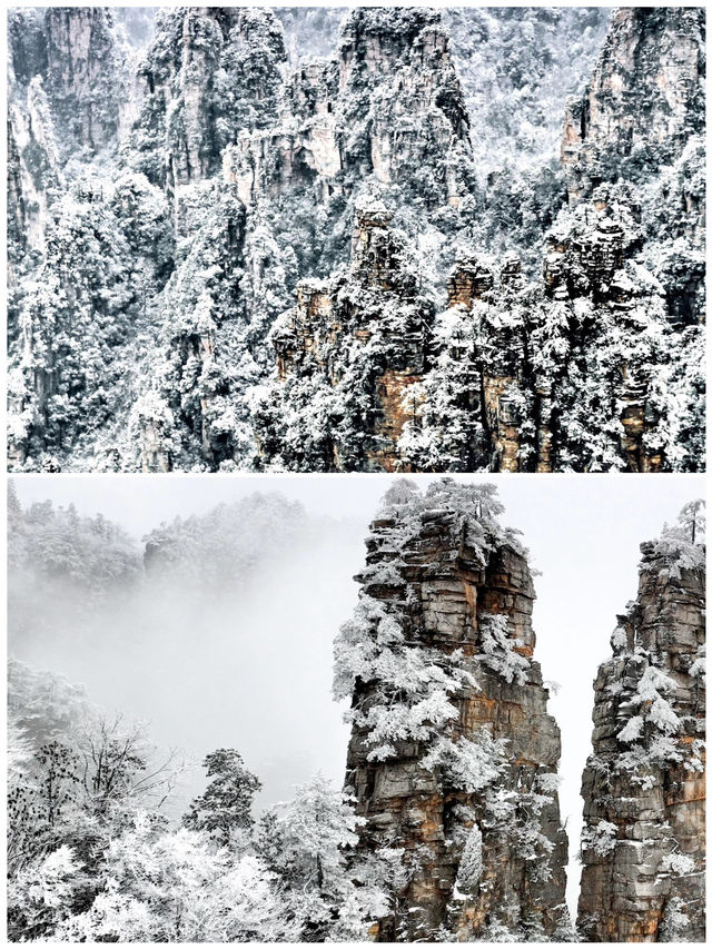 張家界已回，說點難聽大實話