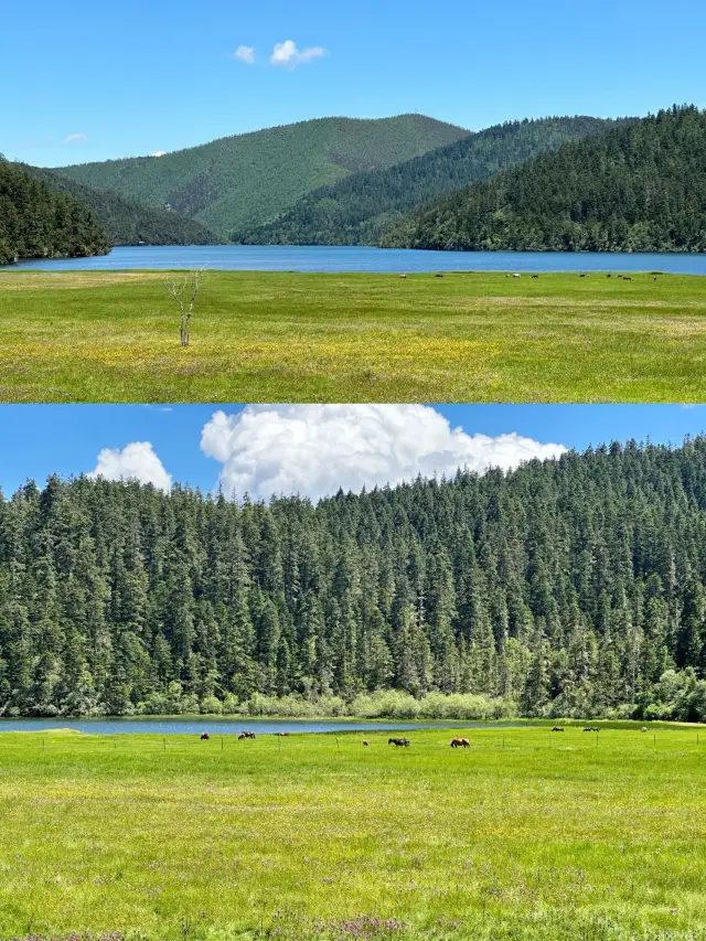 6-Day Kunming-Lijiang-Shangri-La Tour: Detailed Guide