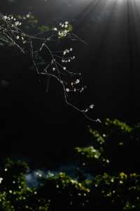 石門國家森林公園