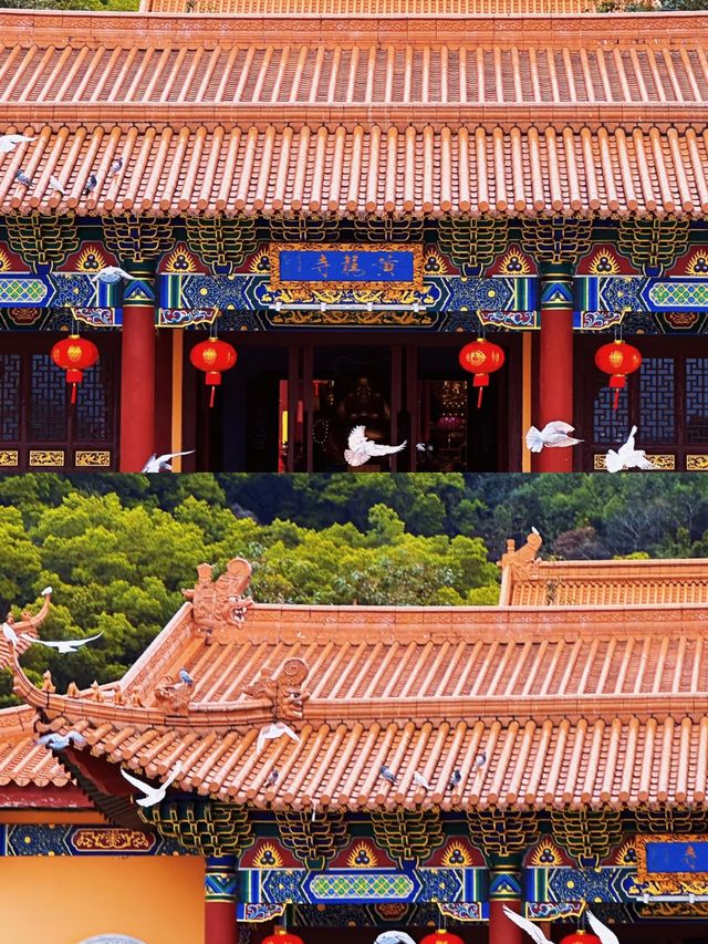 走進揭陽，感受這座古城的魅力與韻味