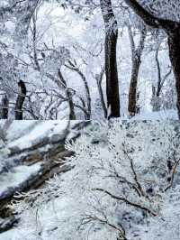 不是哈爾濱！！這裏是洛陽白雲山