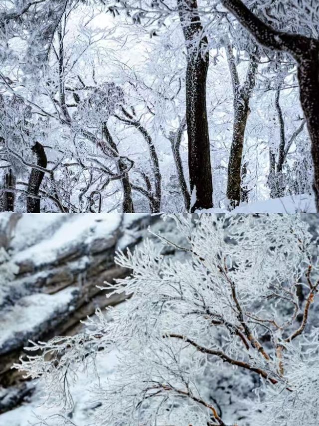 不是哈爾濱！！這裏是洛陽白雲山