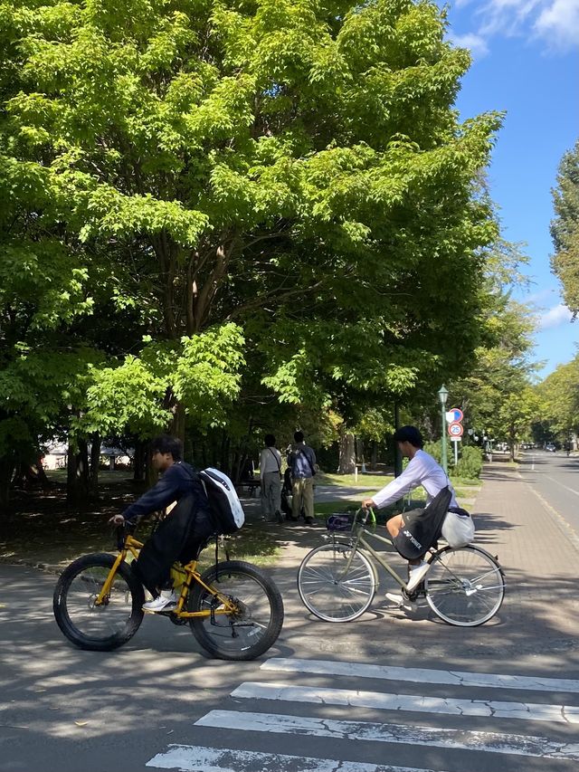 來札幌看最美校園 北海道大學