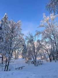 雪鄉等地 3天經典路線｜保姆級攻略