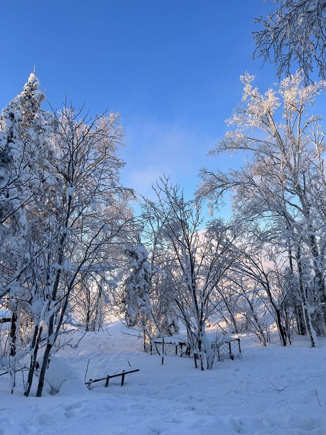 雪鄉等地 3天經典路線｜保姆級攻略