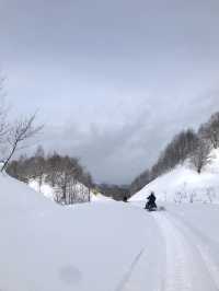 北海道小眾玩法！不滑雪也能馳騁大山