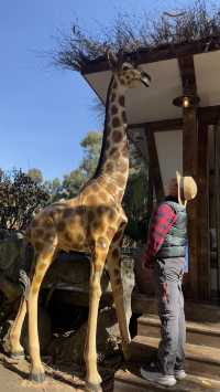 雲南野生動物園