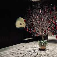 城市上空的夢幻之境 | 深圳柏悅酒店，邂逅雲端泳池的震撼美景