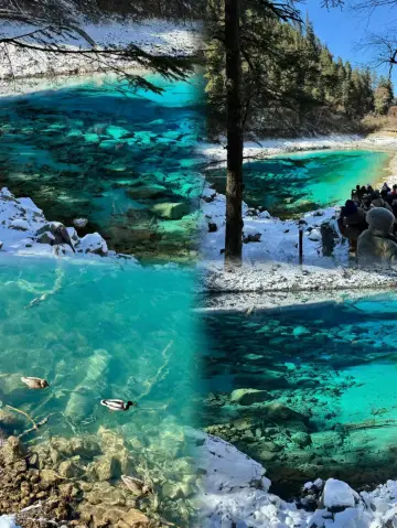 3 days and 2 nights in Jiuzhaigou, I stayed up late to write a travel guide