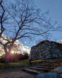 解鎖米子市，邂逅米子城遺跡的小眾浪漫
