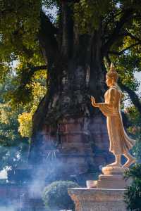 不是曼谷是景谷！普洱一日往返的寶藏小城