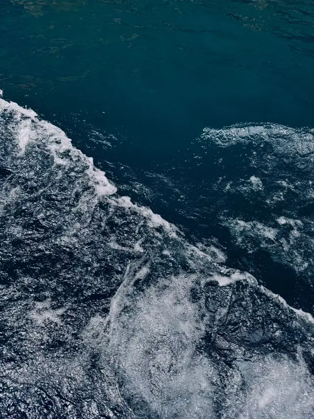 8日長治-晉城-邯鄲之旅 帶你探秘森林的秘密