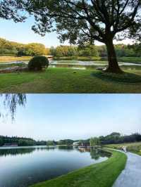 2020年7月上海東郊賓館。。。