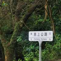 唔使出深圳，就搵到阿勒泰同款治愈綠意🌳 恩上濕地公園正到痹！